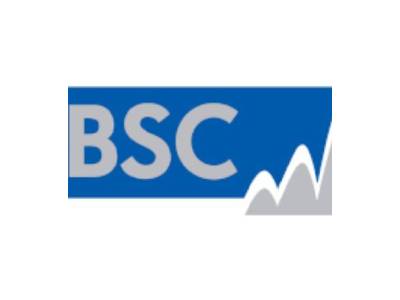 BSC FILTERS