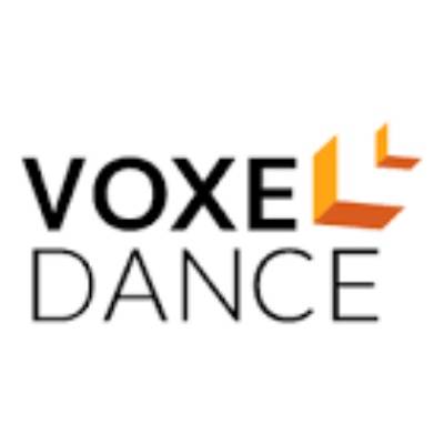 VOXEL DANCE